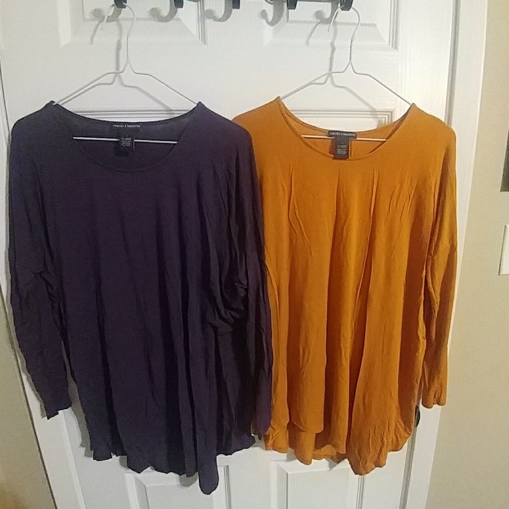 Two Basic Tops - image 1